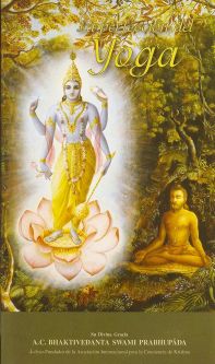 La Perfeccion del Yoga